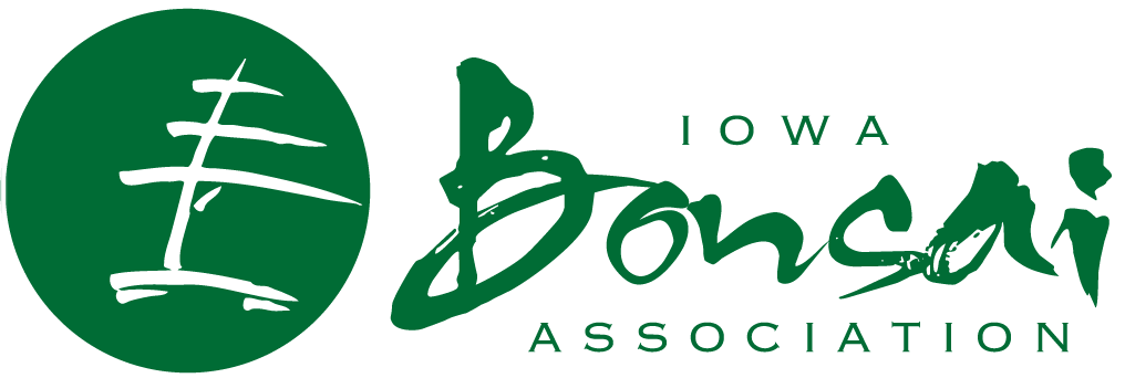 iabonsai-logo
