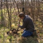 Iowa Yamadori - A Day in the Woods