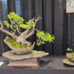 June 2026 – IBA Newsletter