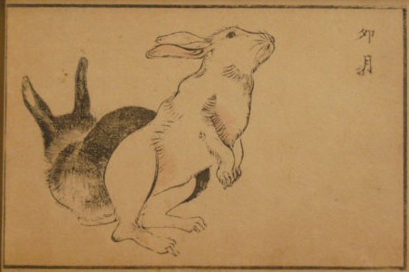japanese_woodblock_print_rabbit