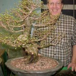 Iowa Bonsai Association Repotting Session